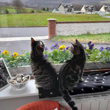 Sheepviewhouse Jamie Bed and breakfast