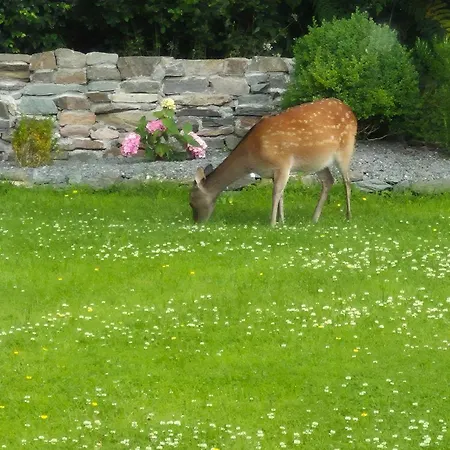 Sheepviewhouse Jamie Kilgarvan