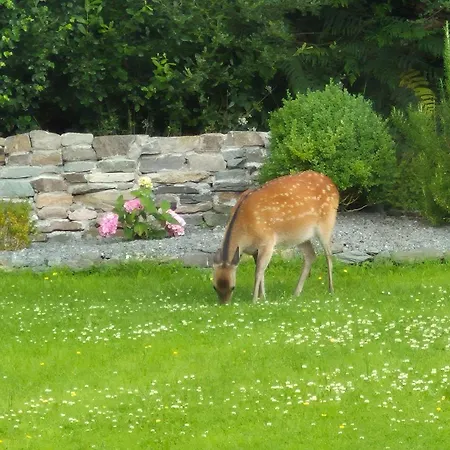 Sheepviewhouse Jamie Frühstückspension