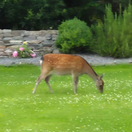 Sheepviewhouse Jamie 3*