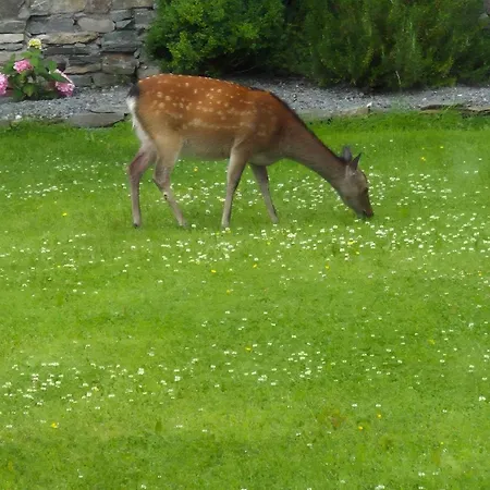 Sheepviewhouse Jamie 3*